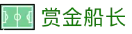 赏金船长会员门户 | 专属福利与游戏管理